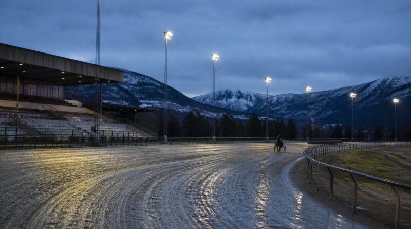 En travbana i skymning med tom läktare och strålkastare, en häst med sulky långt bort på banan